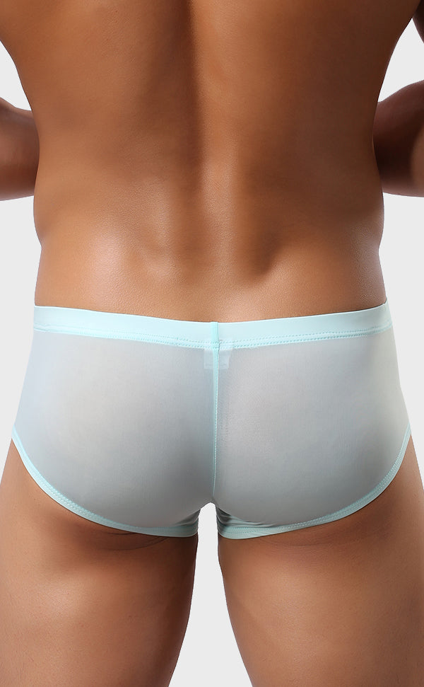 Men's Smooth See Through Micro Trunk