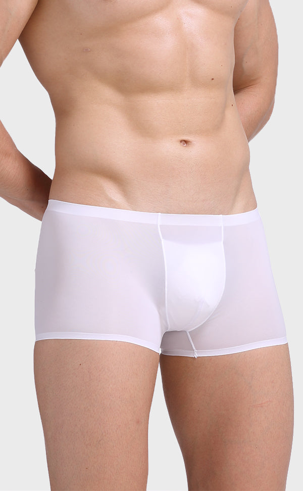 Ice Silk Pouch Trunk for Men