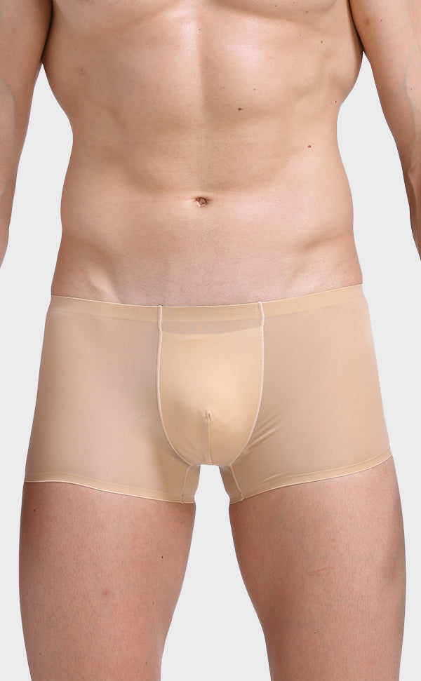 Ice Silk Pouch Trunk for Men