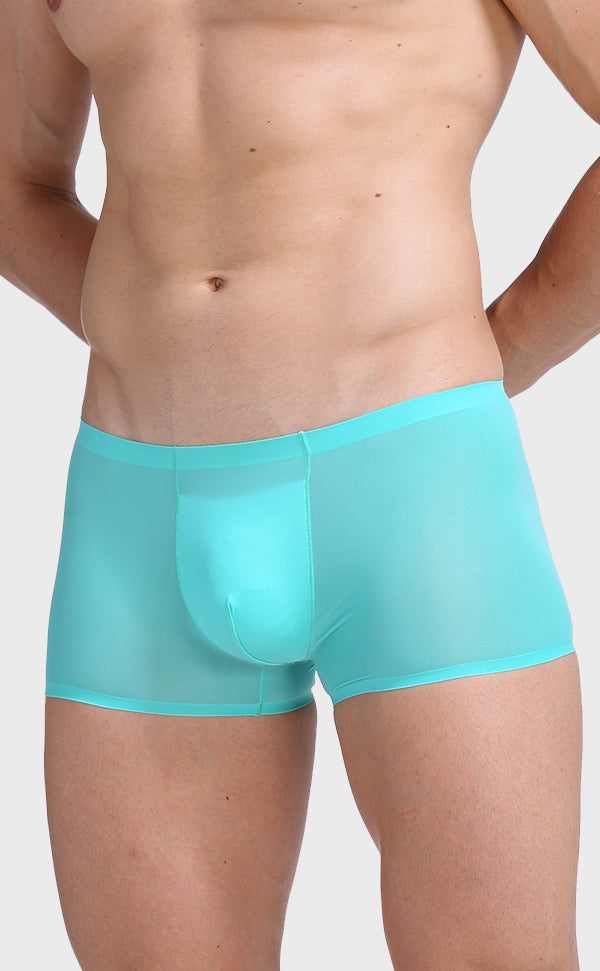 Ice Silk Pouch Trunk for Men