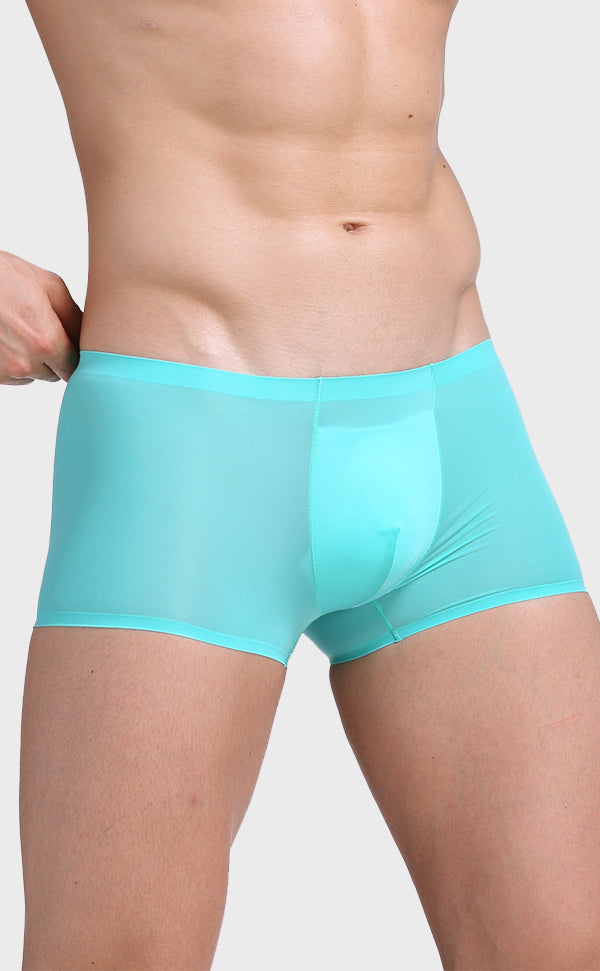 Ice Silk Pouch Trunk for Men