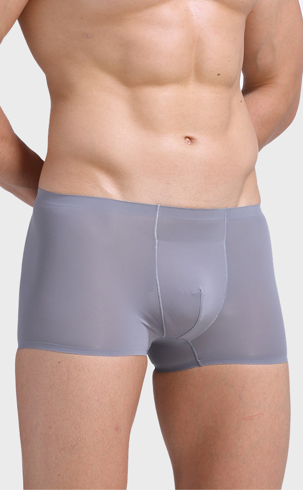 Ice Silk Pouch Trunk for Men