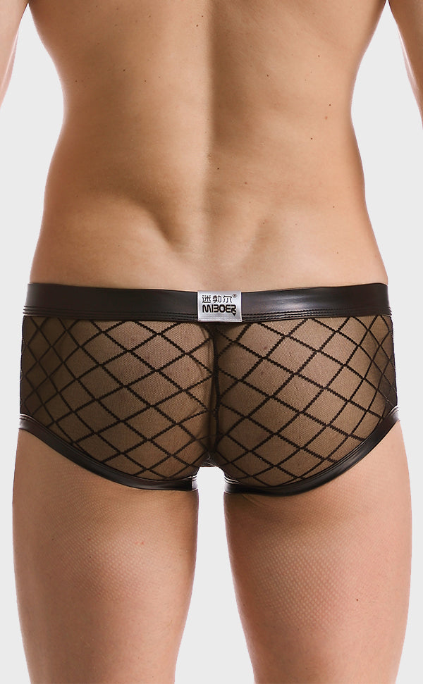 Men's Sexy Fishnet See through Trunk