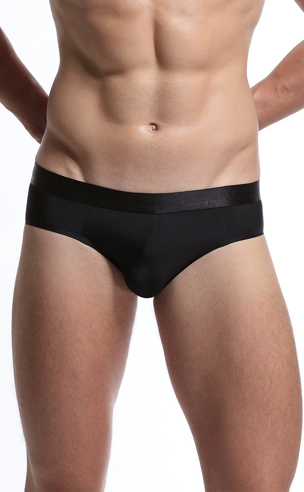 Ice Silk Wide Waistband Sheer Briefs for Men