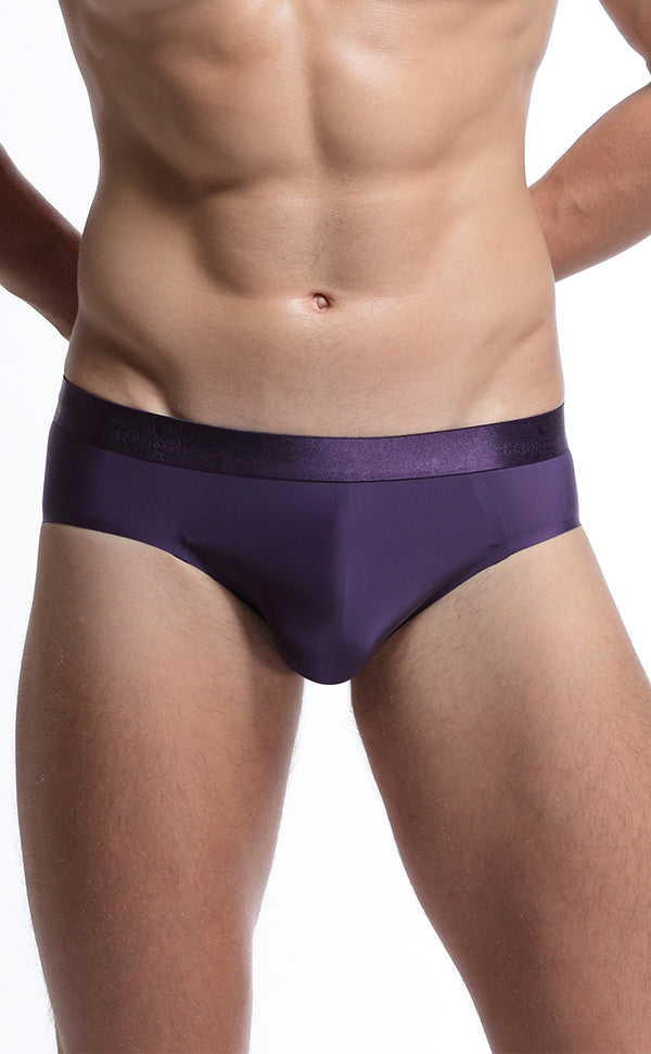 Ice Silk Wide Waistband Sheer Briefs for Men