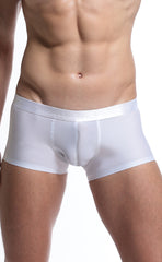 Men's Wide Waistband Gloss Sexy Trunk