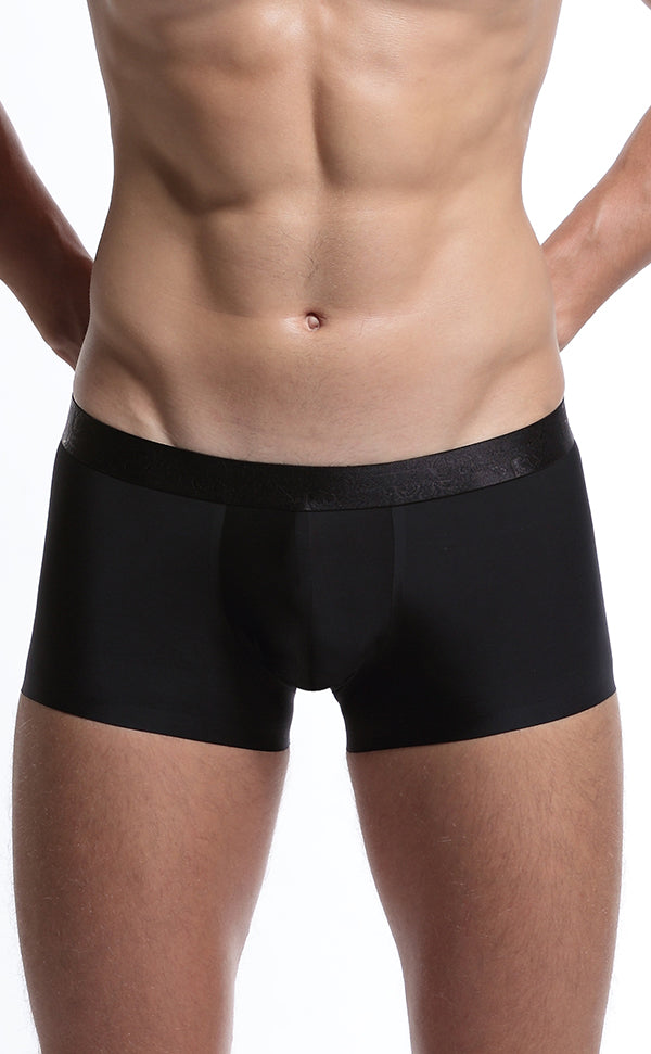 Men's Wide Waistband Gloss Sexy Trunk