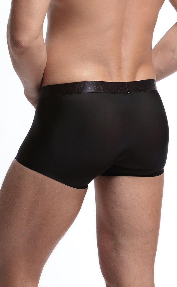 Men's Wide Waistband Gloss Sexy Trunk