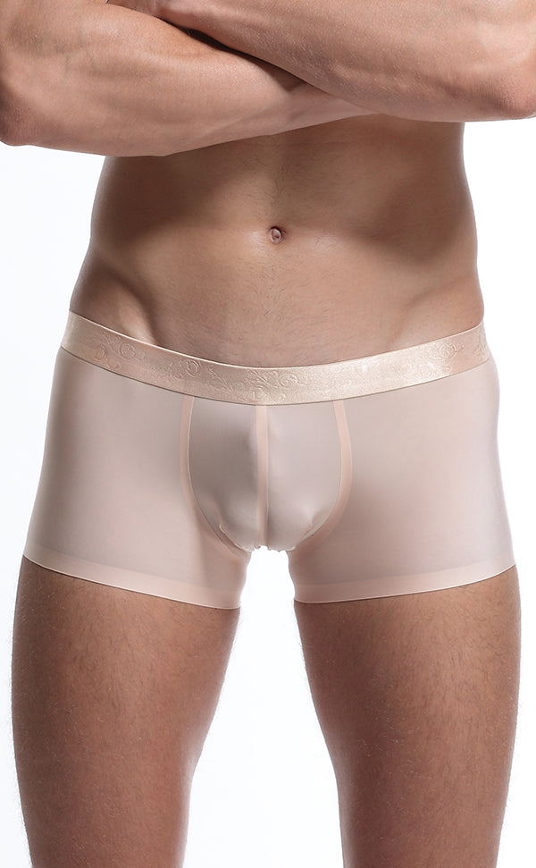 Men's Wide Waistband Gloss Sexy Trunk