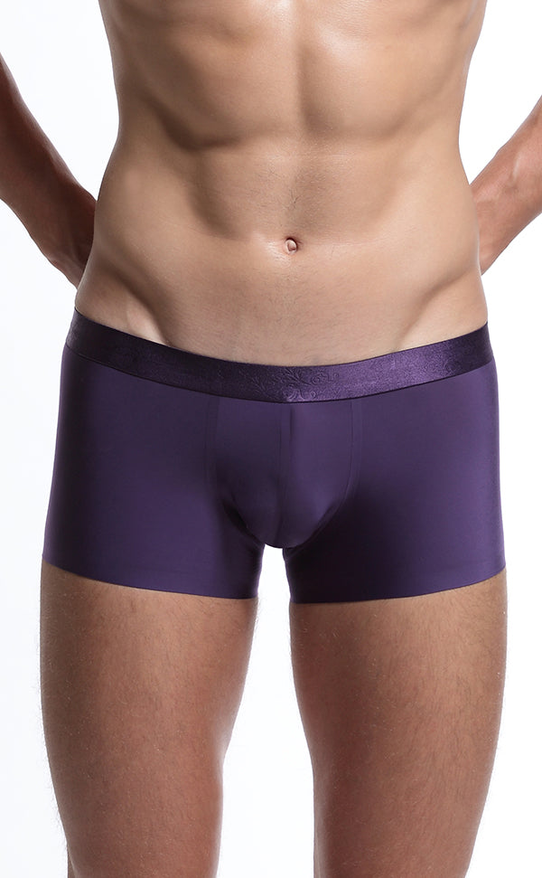 Men's Wide Waistband Gloss Sexy Trunk