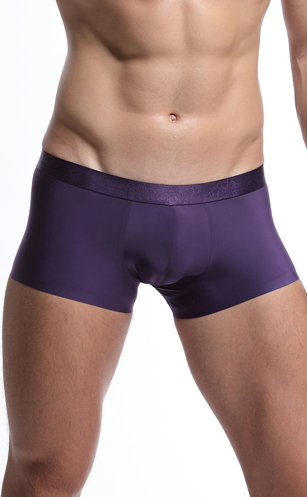 Men's Wide Waistband Gloss Sexy Trunk