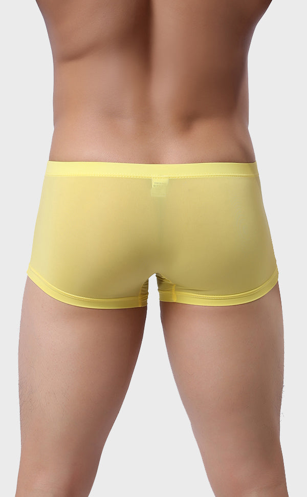 Ice Silk Solid color Trunk for Men