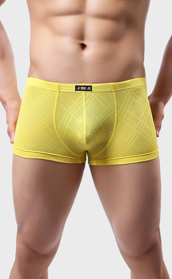 Men's Breathable Grid Pattern Trunk