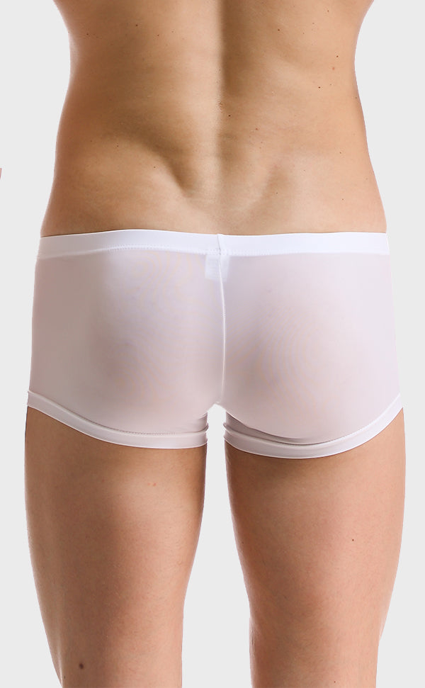 Ice Silk Soft Sexy Trunk for Men