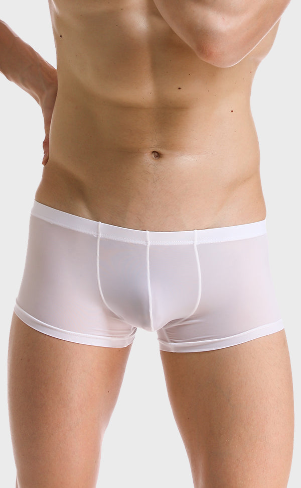 Ice Silk Soft Sexy Trunk for Men