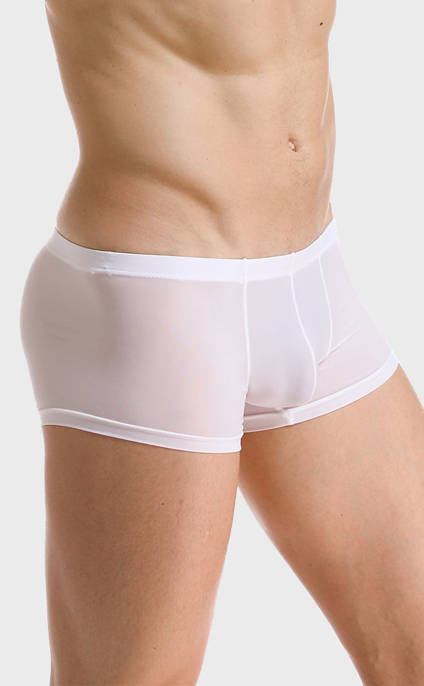 Ice Silk Soft Sexy Trunk for Men