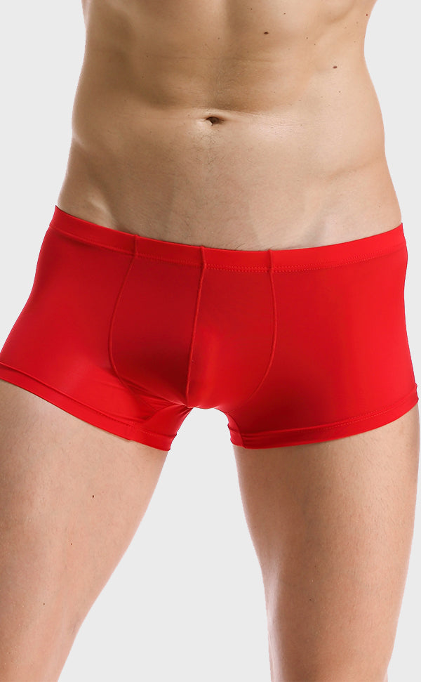 Ice Silk Soft Sexy Trunk for Men