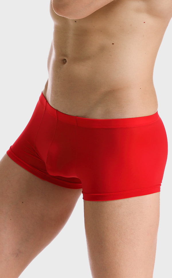 Ice Silk Soft Sexy Trunk for Men