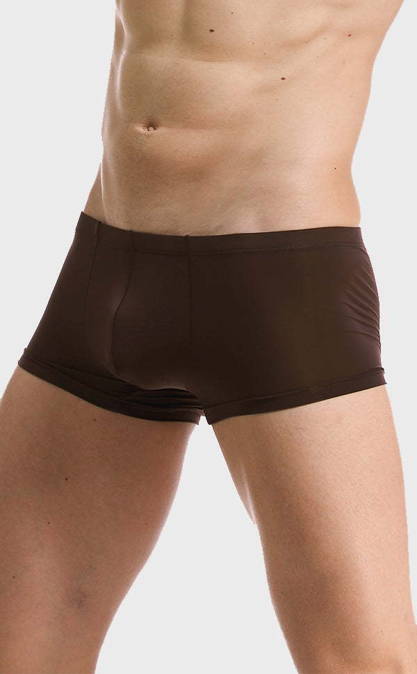 Ice Silk Soft Sexy Trunk for Men