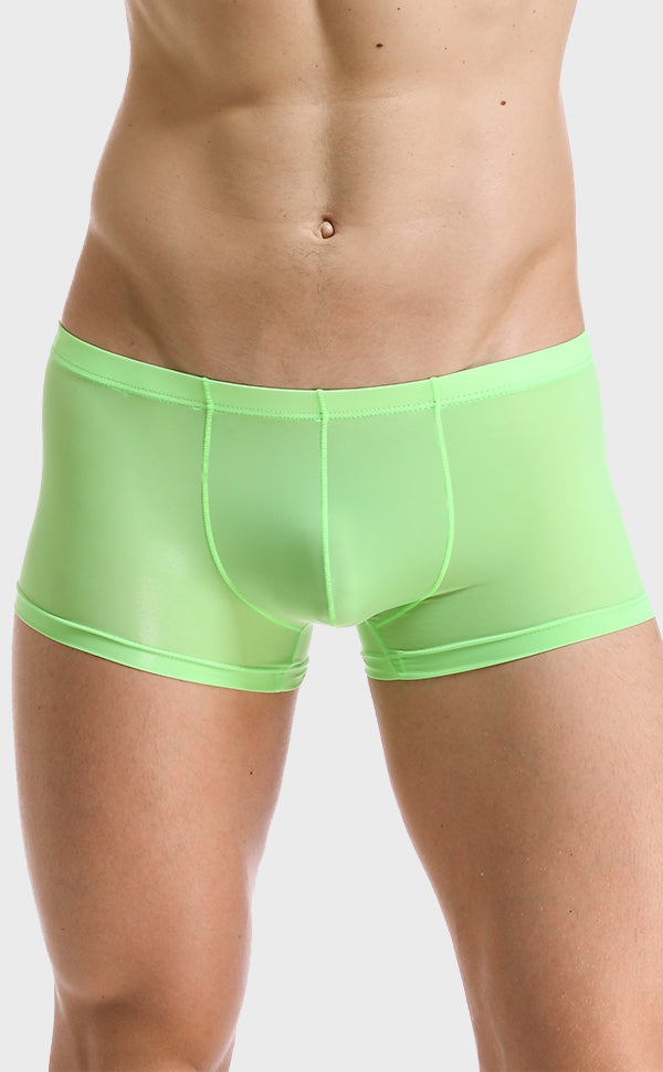 Ice Silk Soft Sexy Trunk for Men