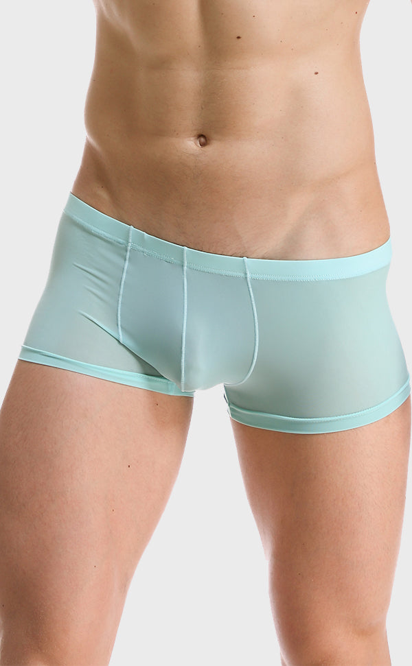 Ice Silk Soft Sexy Trunk for Men