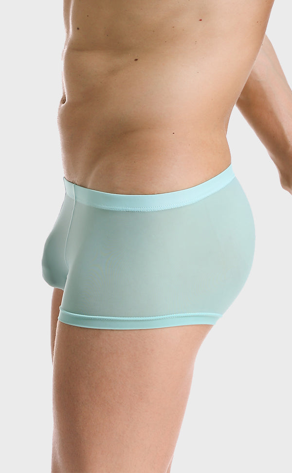 Ice Silk Soft Sexy Trunk for Men