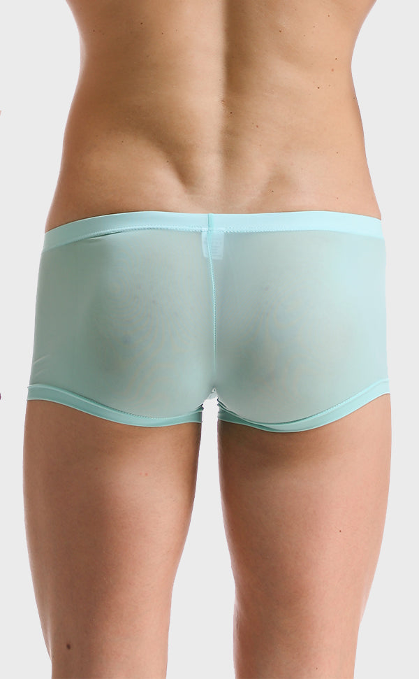 Ice Silk Soft Sexy Trunk for Men