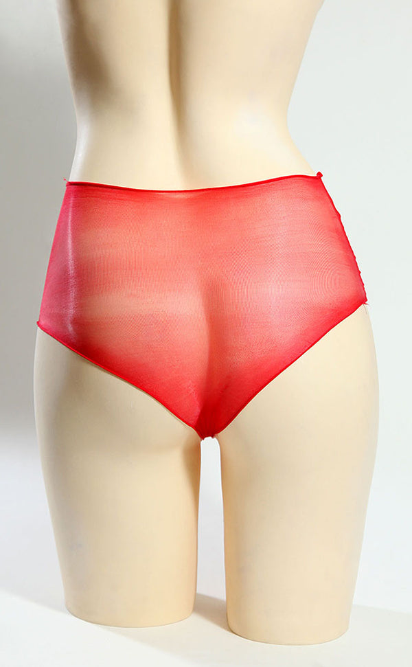 Sheer Seamless Unisex Briefs