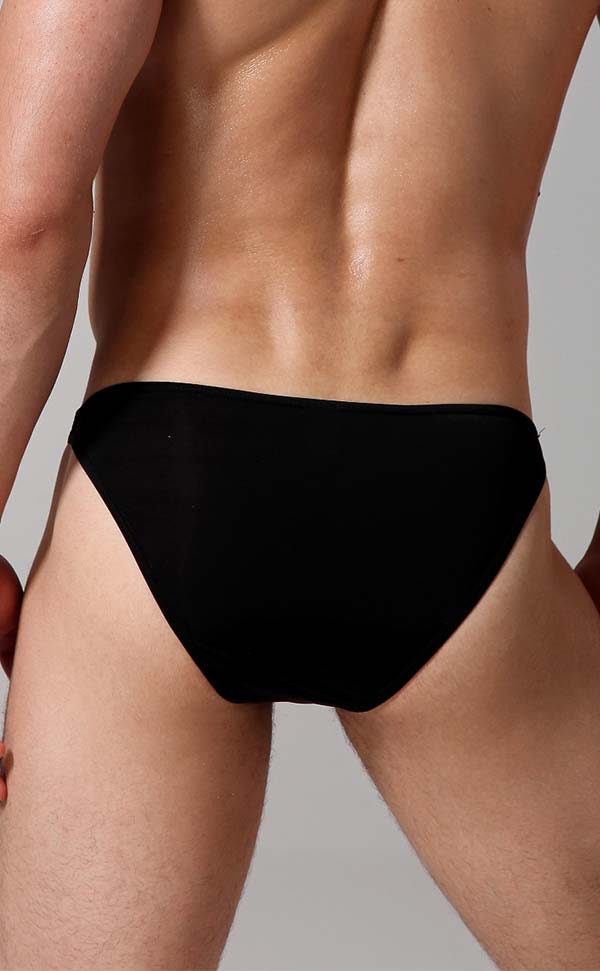 Men's Sheer Sexy Low Rise Pouch Bikini