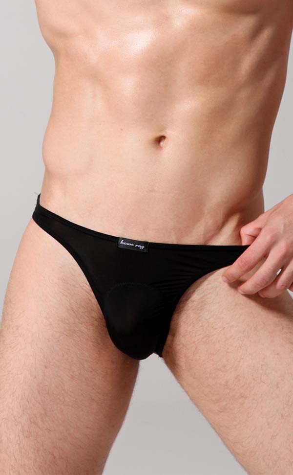 Men's Sheer Sexy Low Rise Pouch Bikini