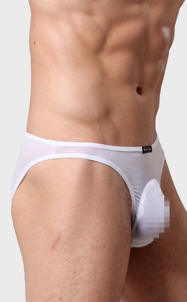 Men's Sheer Sexy Low Rise Pouch Bikini