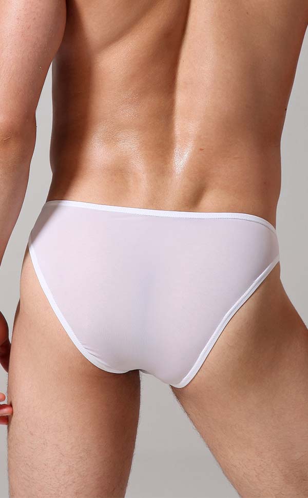 Men's Sheer Sexy Low Rise Pouch Bikini