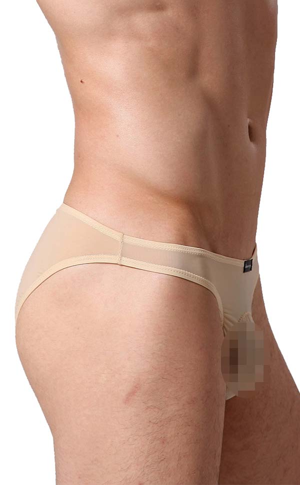 Men's Sheer Sexy Low Rise Pouch Bikini