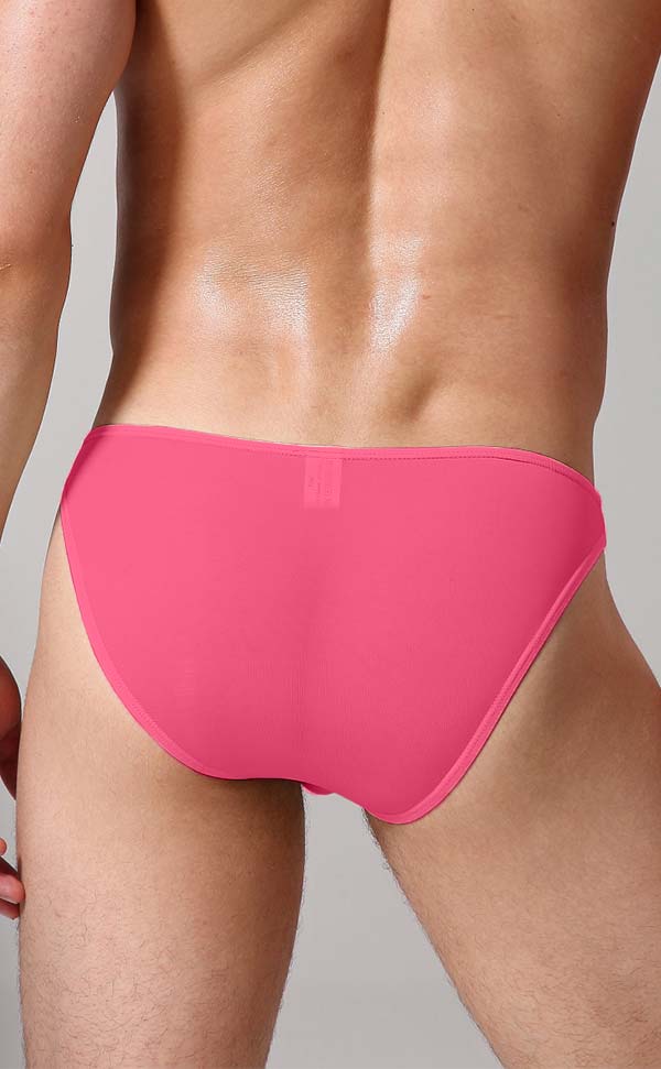 Men's Sheer Sexy Low Rise Pouch Bikini