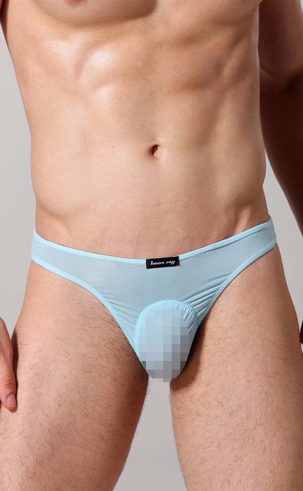 Men's Sheer Sexy Low Rise Pouch Bikini