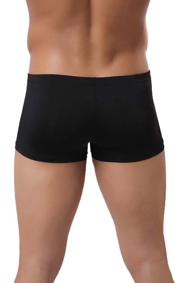 Men's Wide Waistband Gloss Sexy Trunk