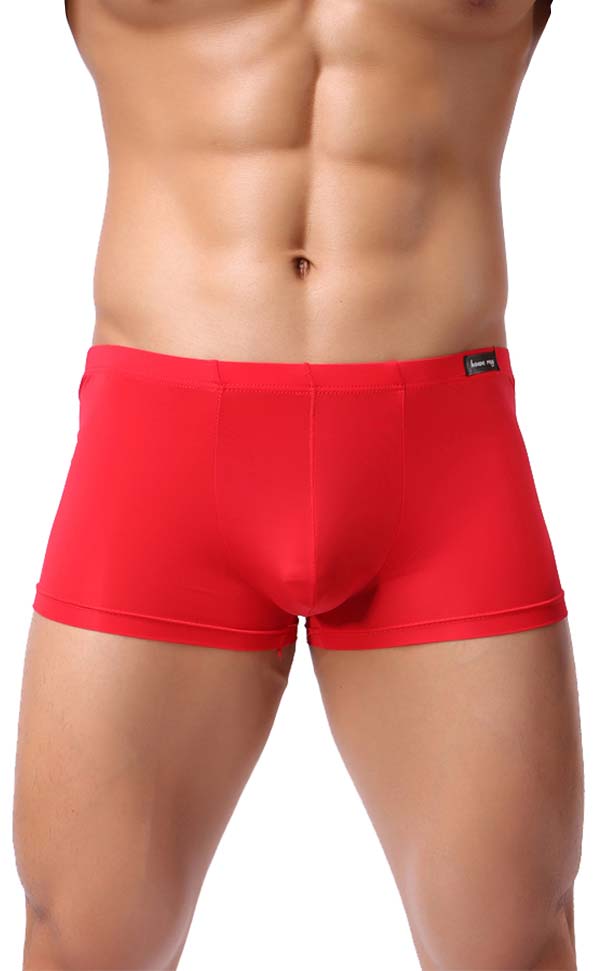 Men's Wide Waistband Gloss Sexy Trunk