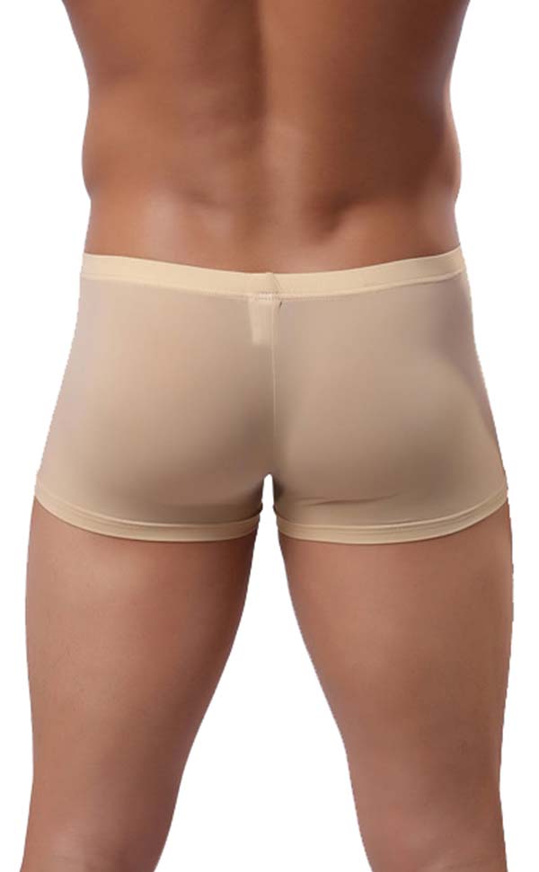 Men's Wide Waistband Gloss Sexy Trunk