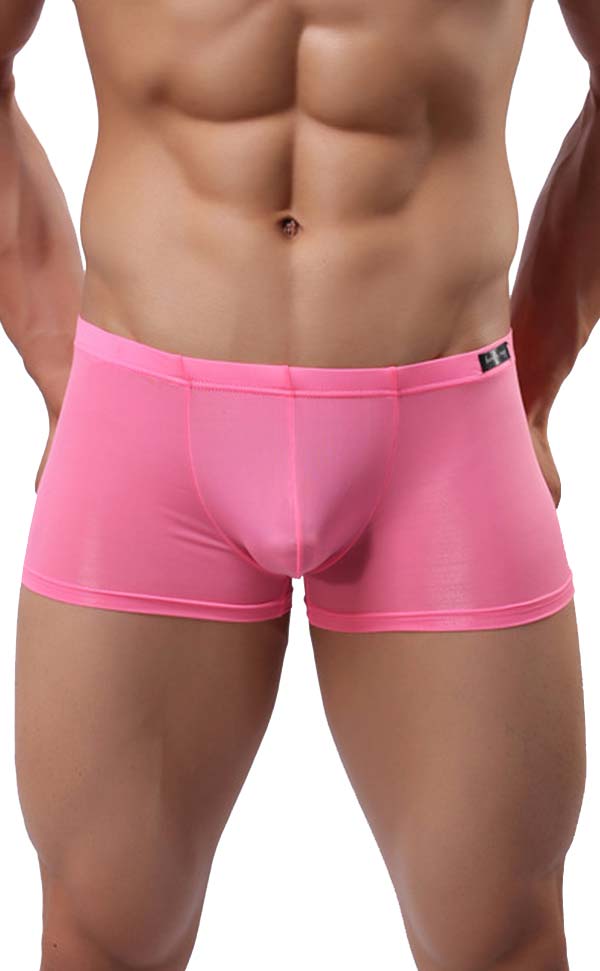 Men's Wide Waistband Gloss Sexy Trunk