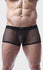 Men’s See Through Fishnet Trunk