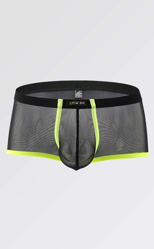 Men's See Through Mesh Trunks