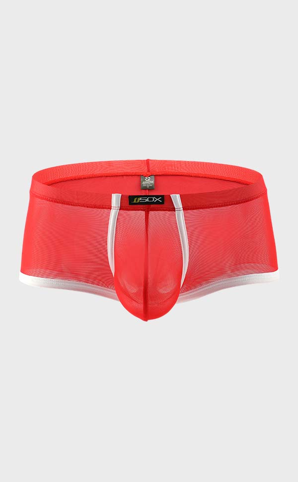 Men's Mesh Bicolor T-Shirt and Trunk