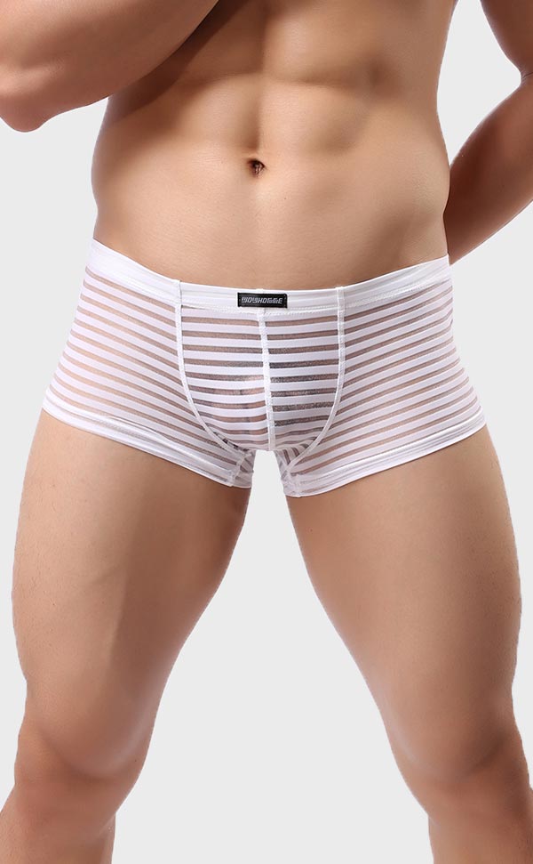 Men’s Sheer Stripe Mesh Trunk