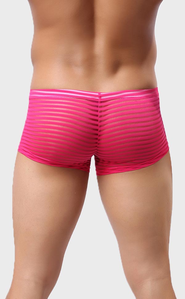 Men’s Sheer Stripe Mesh Trunk