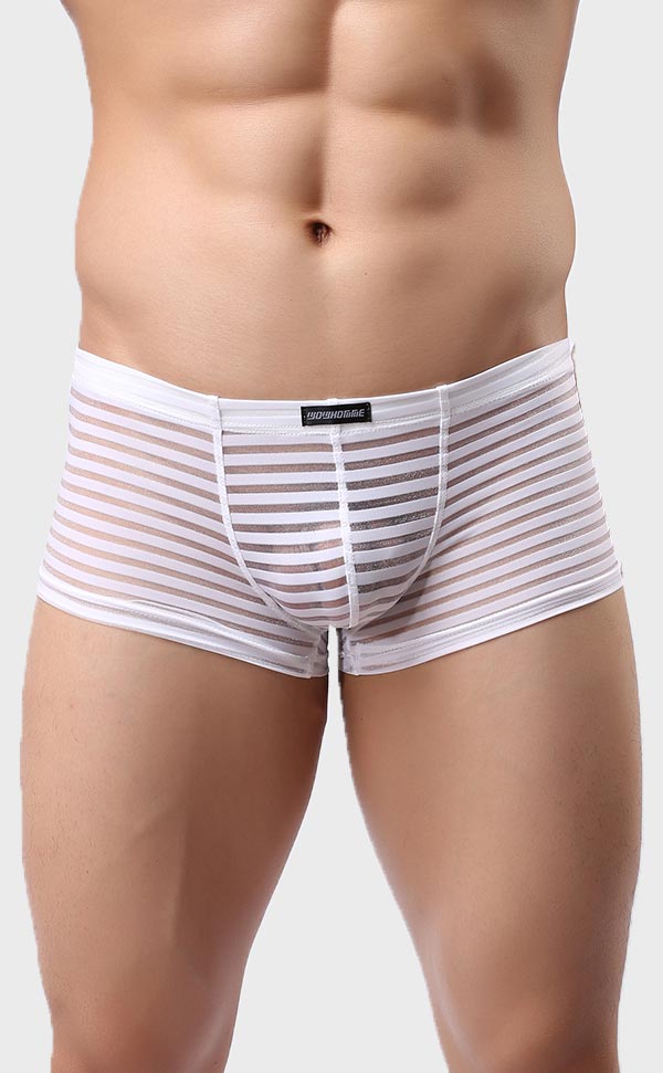 Men’s Sheer Stripe Mesh Trunk