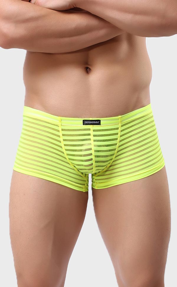 Men’s Sheer Stripe Mesh Trunk