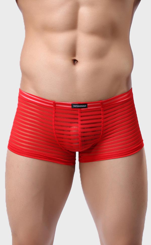 Men’s Sheer Stripe Mesh Trunk