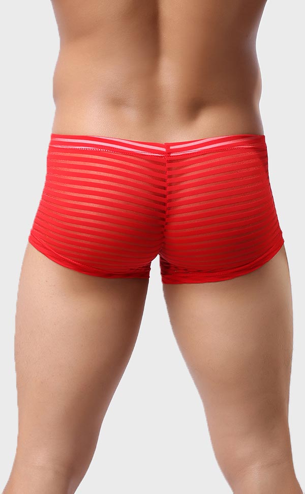 Men’s Sheer Stripe Mesh Trunk