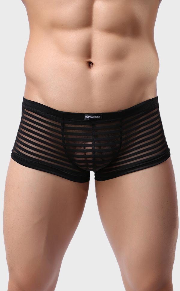 Men’s Sheer Stripe Mesh Trunk