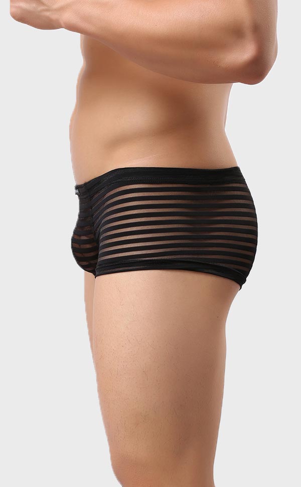 Men’s Sheer Stripe Mesh Trunk